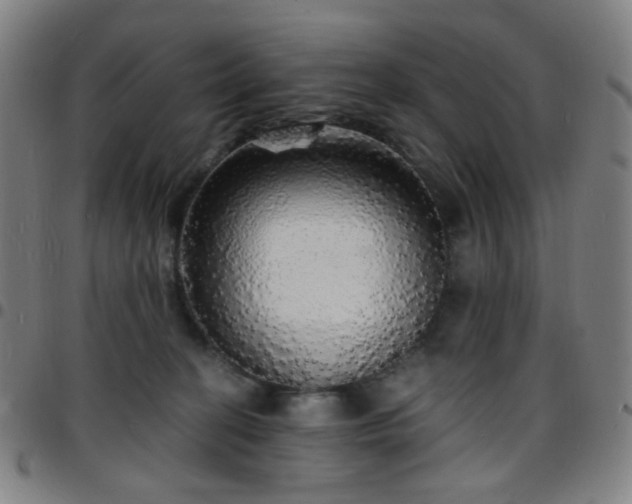 X0000097670274200803071601