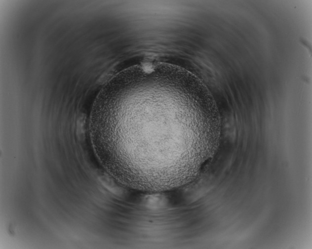 X0000097670275200803071601