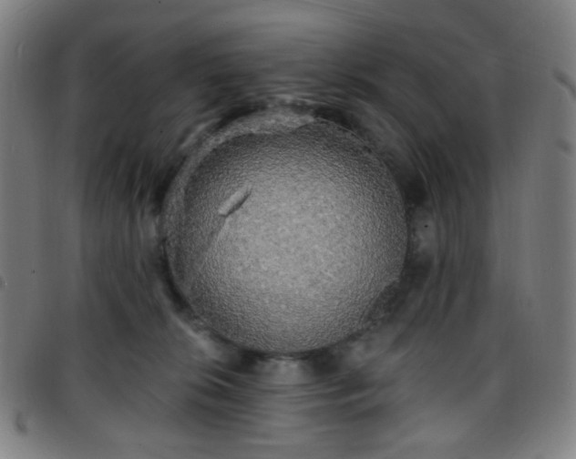 X0000097670276200803071601