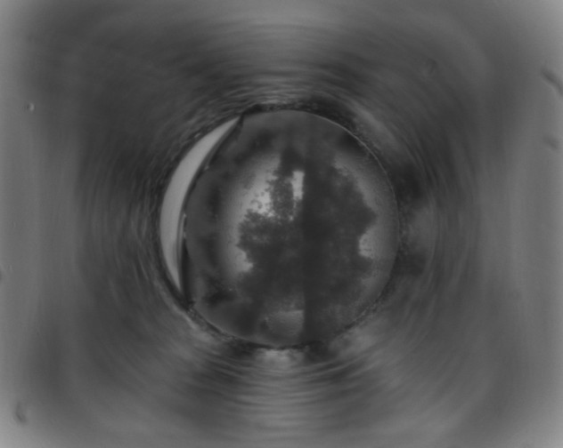 X0000097670277200803071601