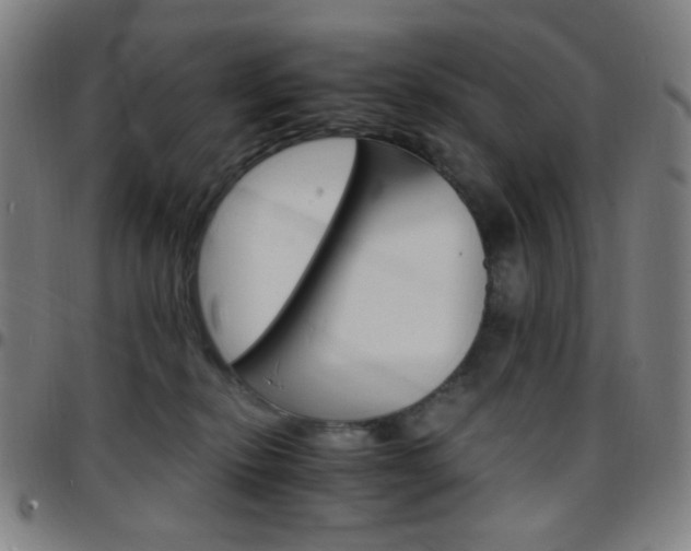 X0000097670278200803071602