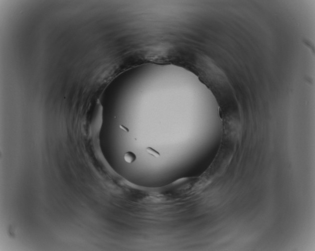 X0000097670280200803071602