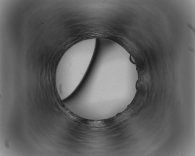 X0000097670281200803071602