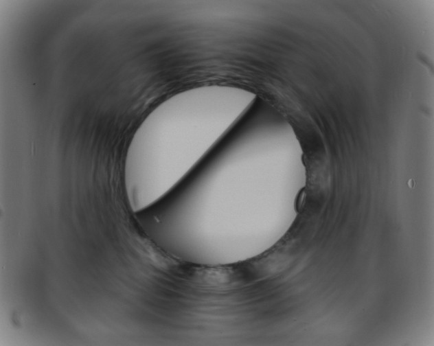 X0000097670282200803071602