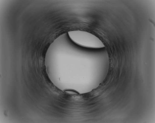 X0000097670283200803071602