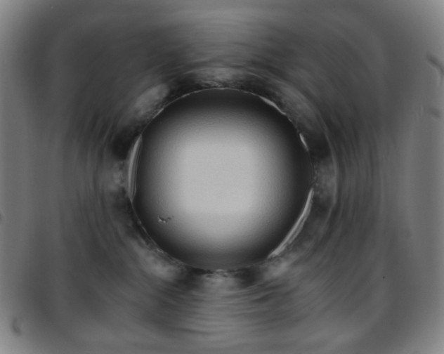 X0000097670284200803071602