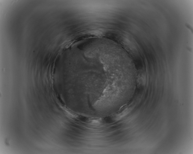 X0000097670285200803071602