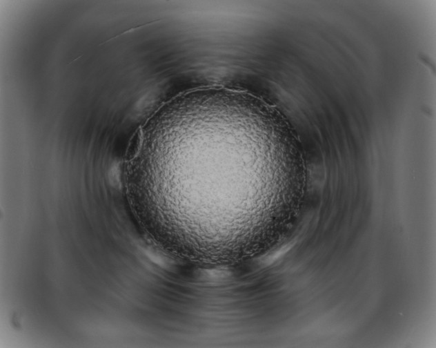 X0000097670286200803071602