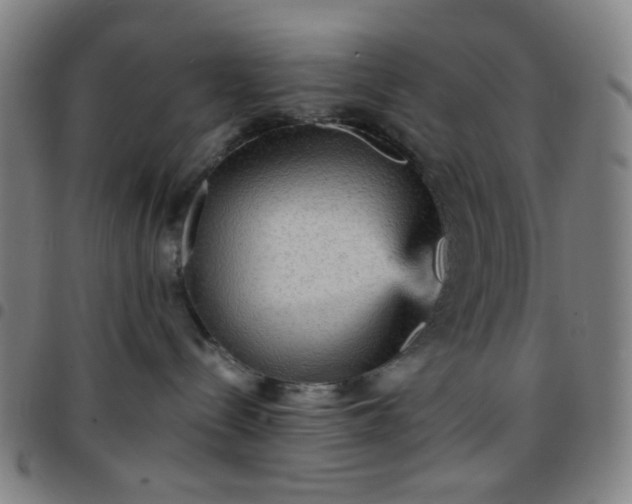 X0000097670288200803071602