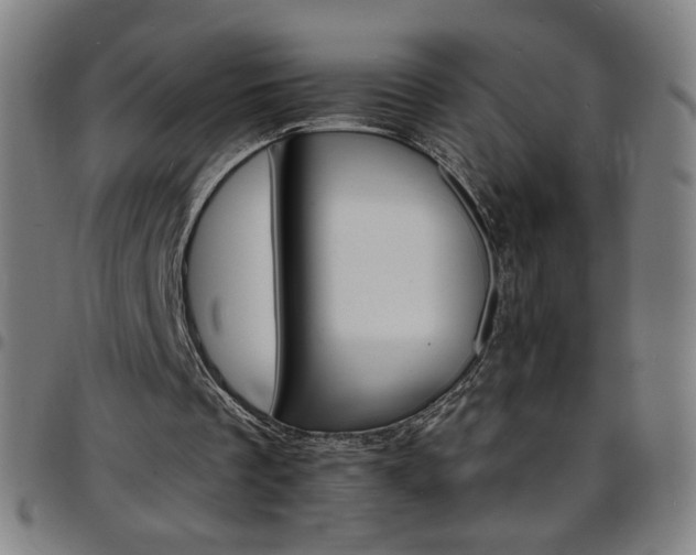 X0000097670289200803071601