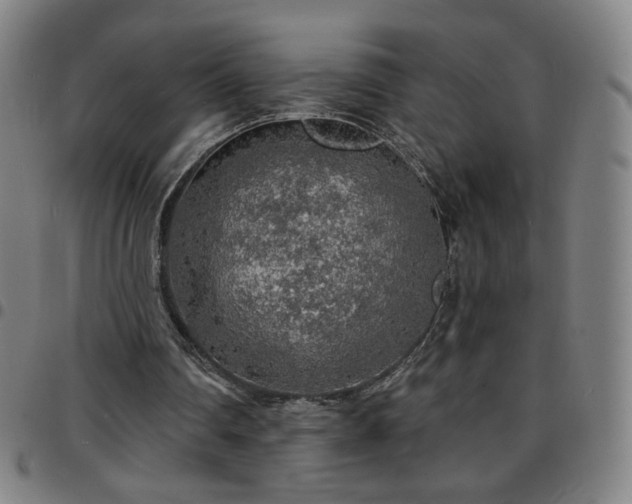 X0000097670290200803071601
