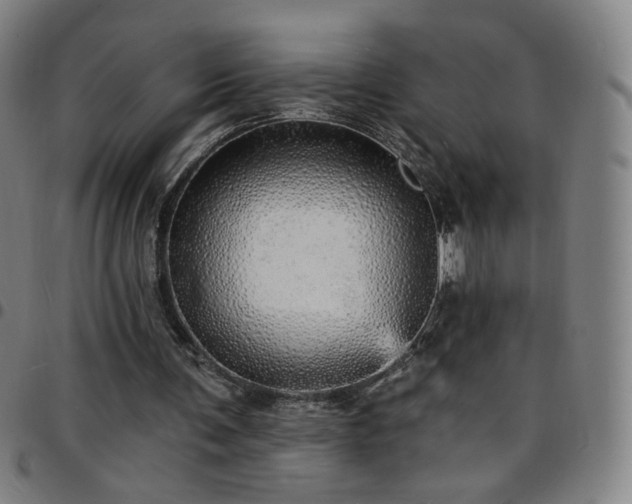 X0000097670291200803071601