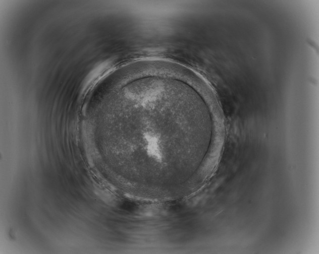 X0000097670293200803071601