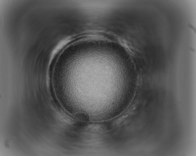 X0000097670294200803071601