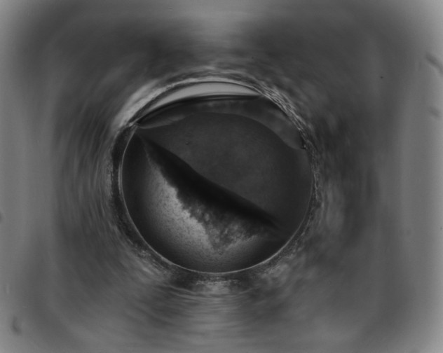 X0000097670295200803071601