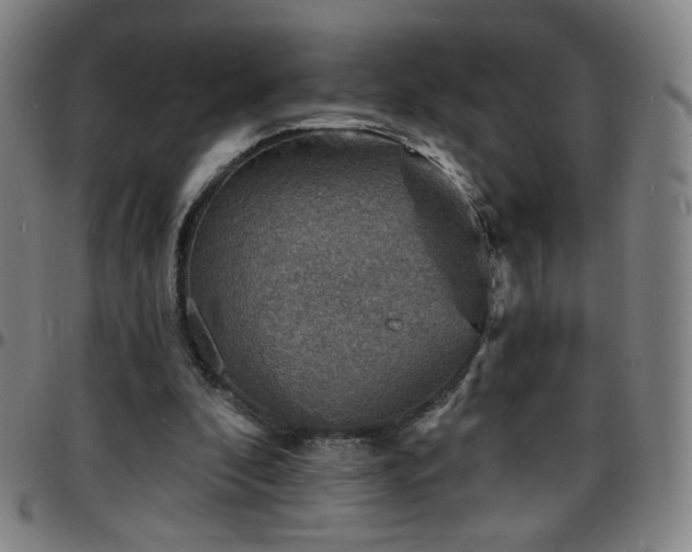 X0000097670296200803071601