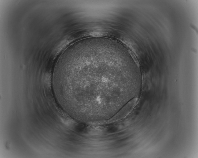 X0000097670297200803071601