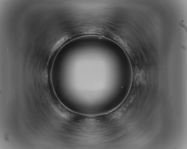 X0000097670298200803071601