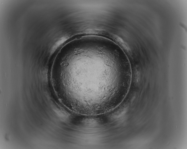X0000097670299200803071601
