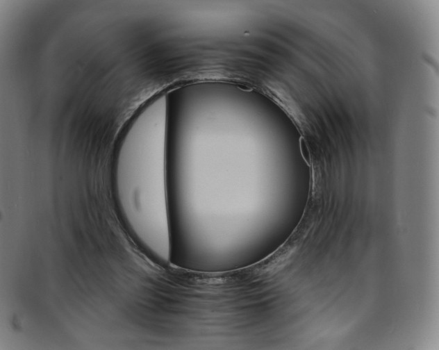 X0000097670301200803071601