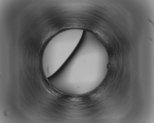 X0000097670303200803071601