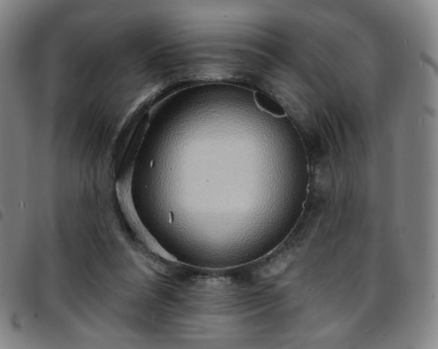 X0000097670304200803071601