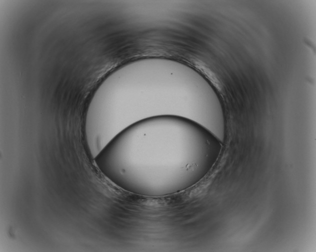 X0000097670305200803071601