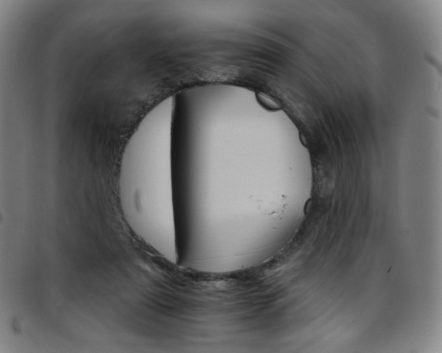 X0000097670307200803071601