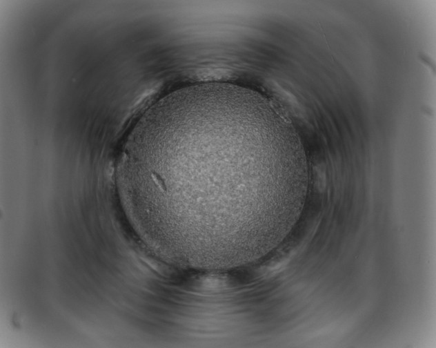 X0000097670308200803071601