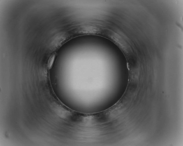 X0000097670309200803071601