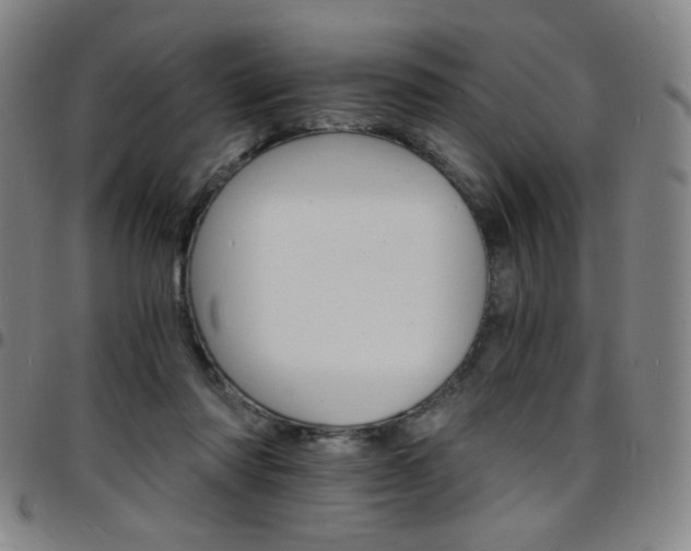 X0000097670310200803071601