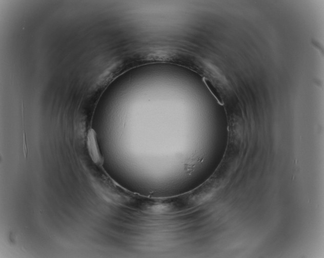 X0000097670312200803071601
