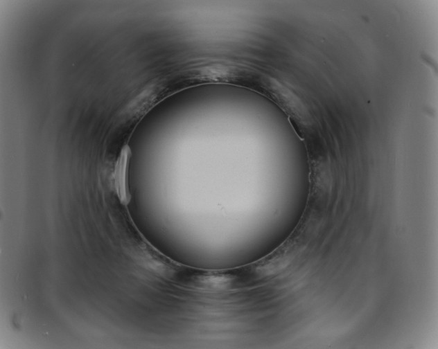 X0000097670313200803071601