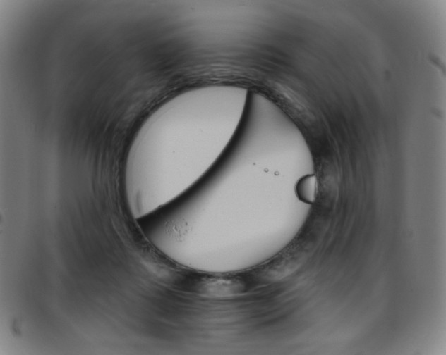X0000097670315200803071601
