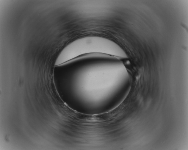X0000097670316200803071601