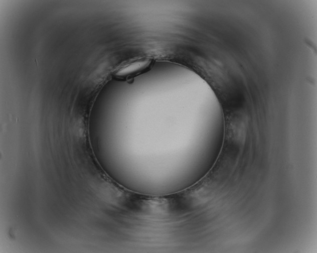 X0000097670317200803071601