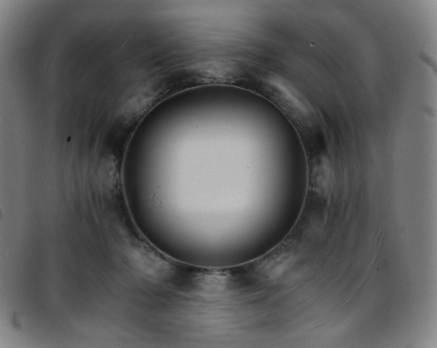 X0000097670318200803071601
