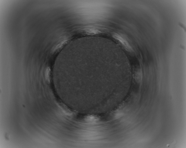 X0000097670319200803071601