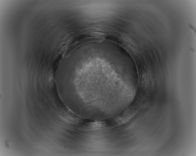 X0000097670320200803071600
