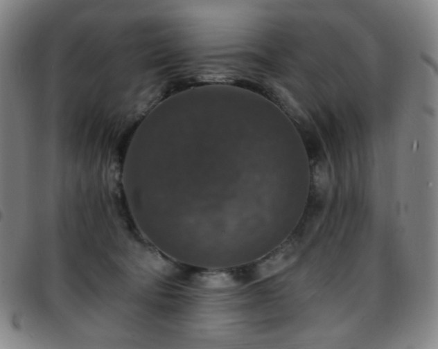 X0000097670322200803071600