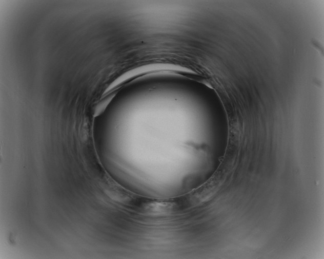 X0000097670323200803071600