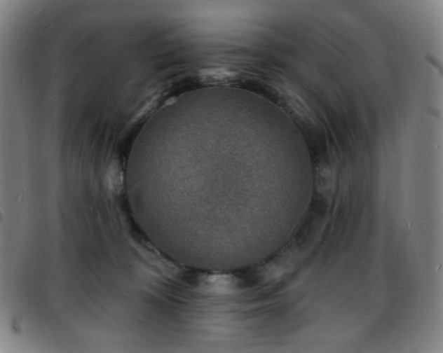 X0000097670324200803071600