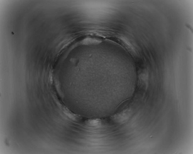 X0000097670325200803071600