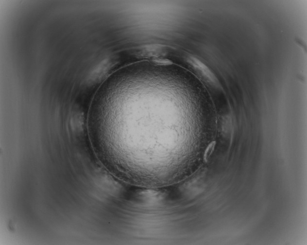 X0000097670326200803071600