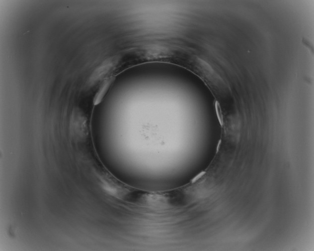 X0000097670327200803071600