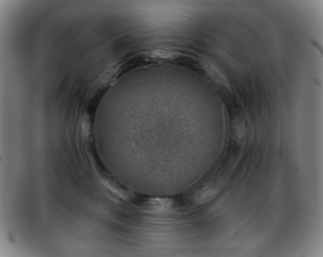 X0000097670328200803071600