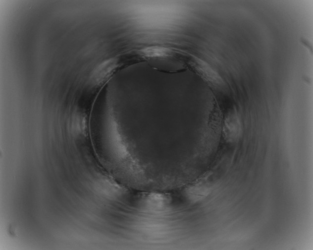 X0000097670330200803071600