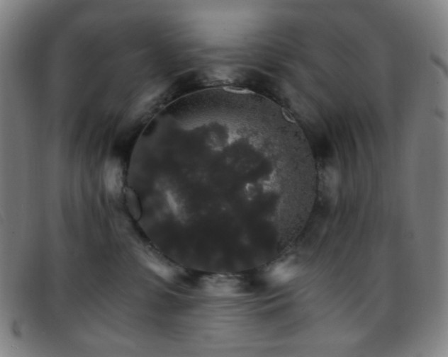 X0000097670331200803071600