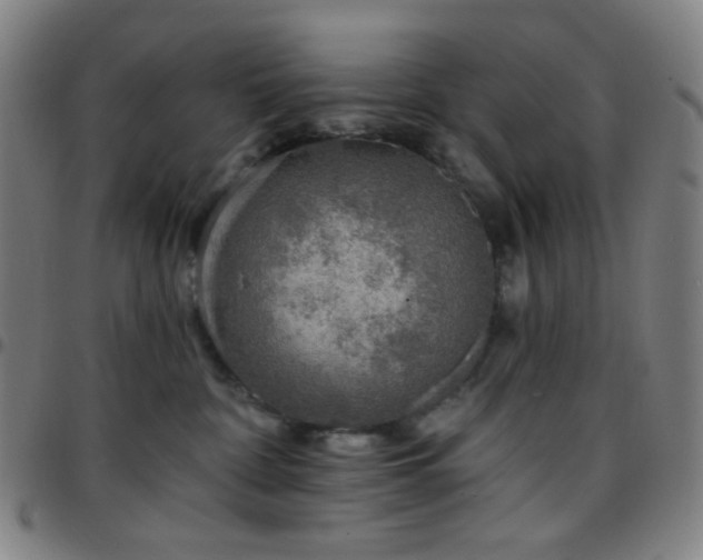 X0000097670332200803071600