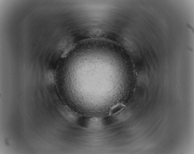 X0000097670335200803071600